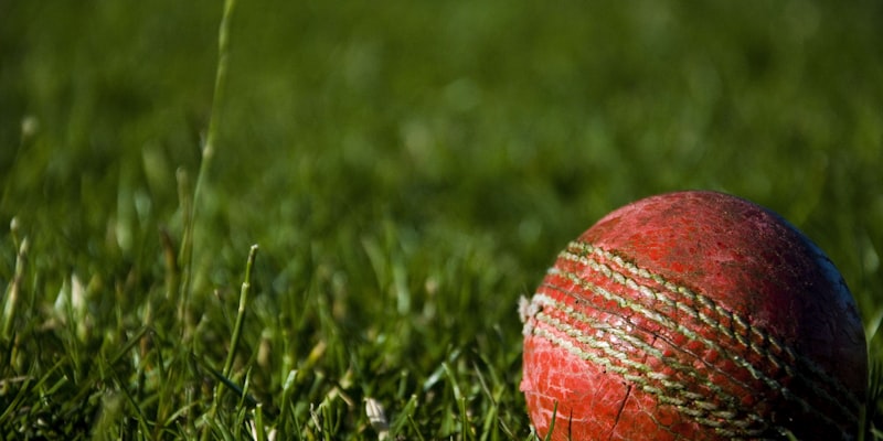 世界杯四分之一决赛对阵图及胜率预测分析可视化图表